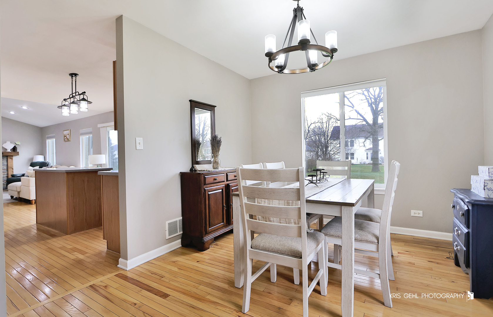 1407 S Janice Lane, Round Lake, IL 60073