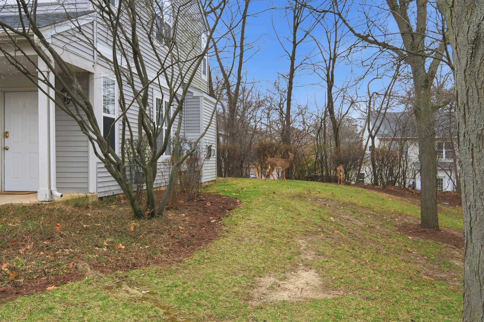 1313 Brookdale Drive, Carpentersville, IL 60110