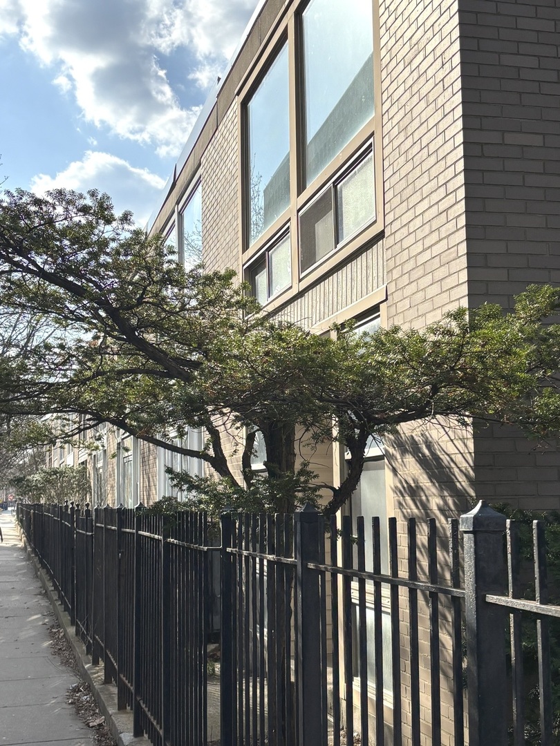 1428 E 55th Street, Chicago, IL 60615