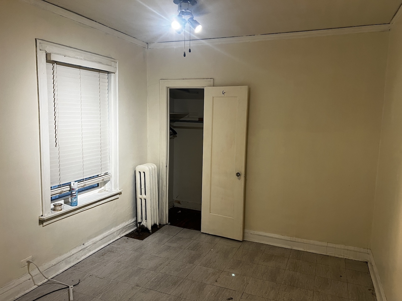 8226 S Paulina Street, Chicago, IL 60620