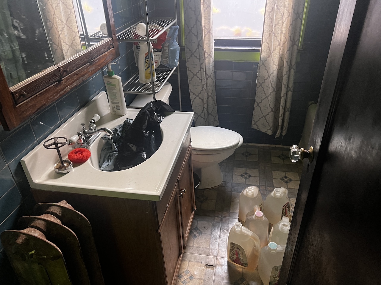 8226 S Paulina Street, Chicago, IL 60620