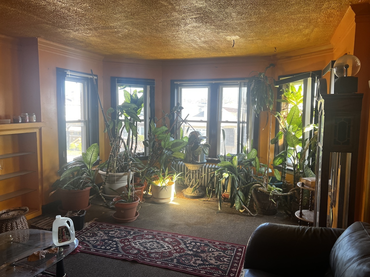 8226 S Paulina Street, Chicago, IL 60620