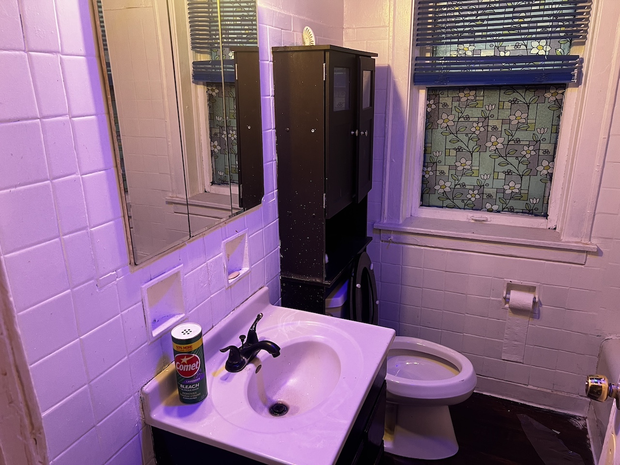 8226 S Paulina Street, Chicago, IL 60620