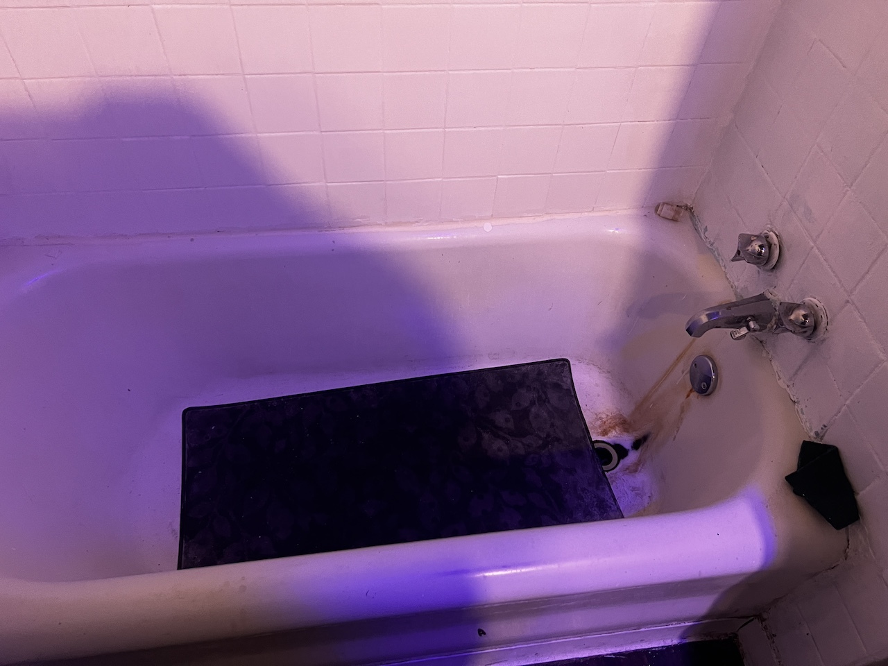 8226 S Paulina Street, Chicago, IL 60620