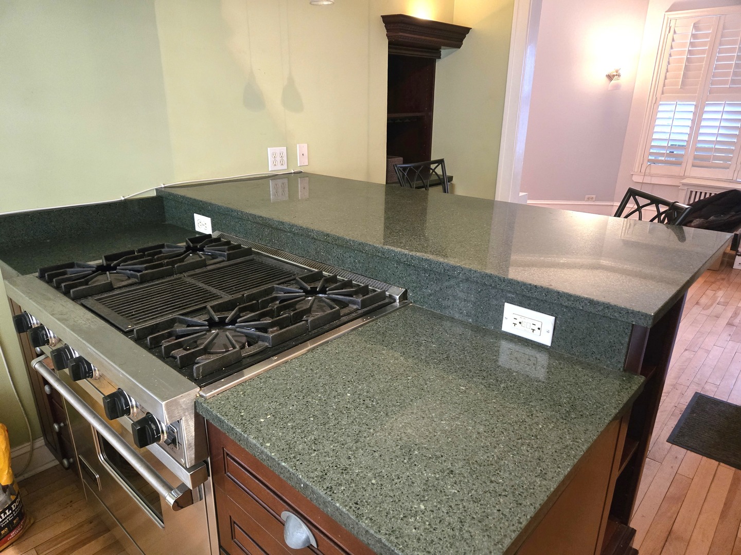 548 W Brompton Avenue #1E, Chicago, IL 60657