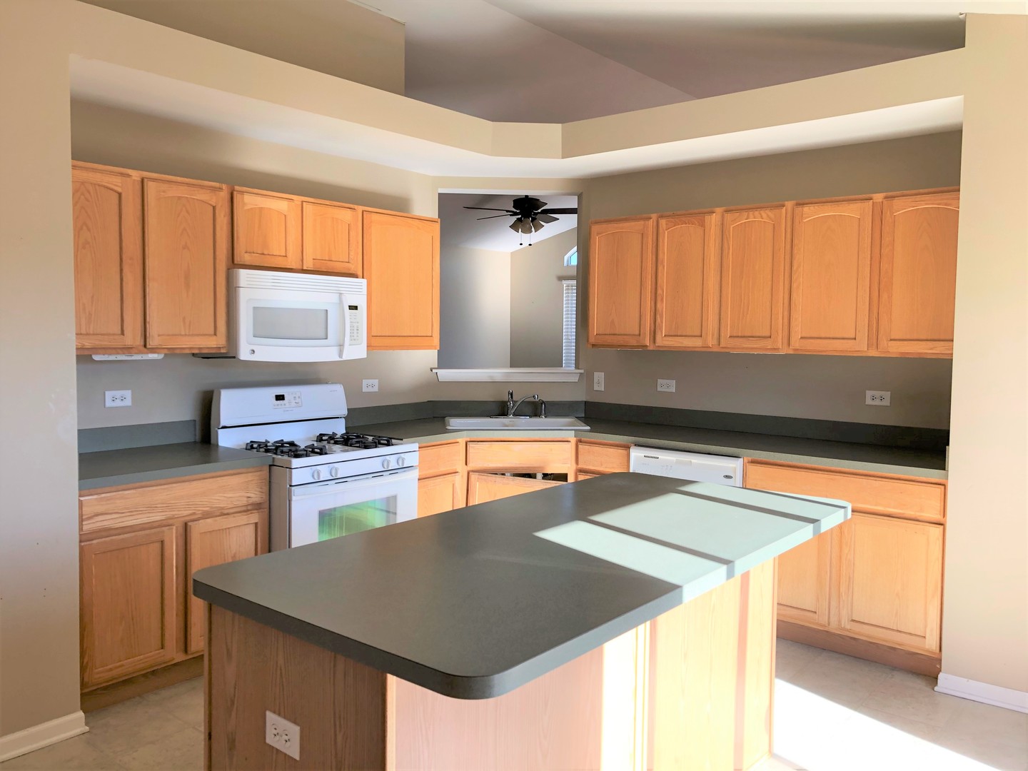 1609 Fredericksburg Lane #1609, Aurora, IL 60503