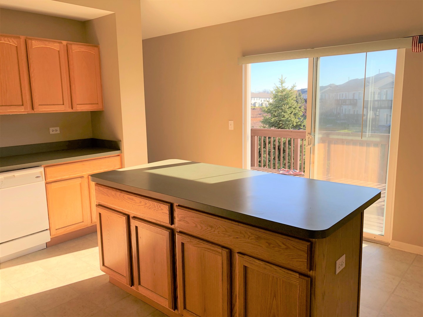 1609 Fredericksburg Lane #1609, Aurora, IL 60503