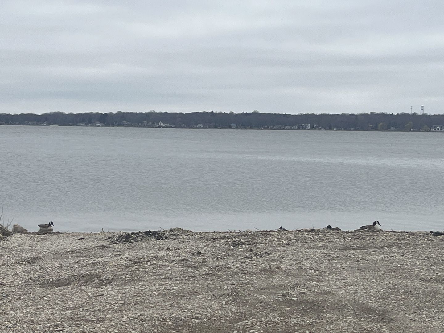 34 W Grand Avenue #102, Fox Lake, IL 60020