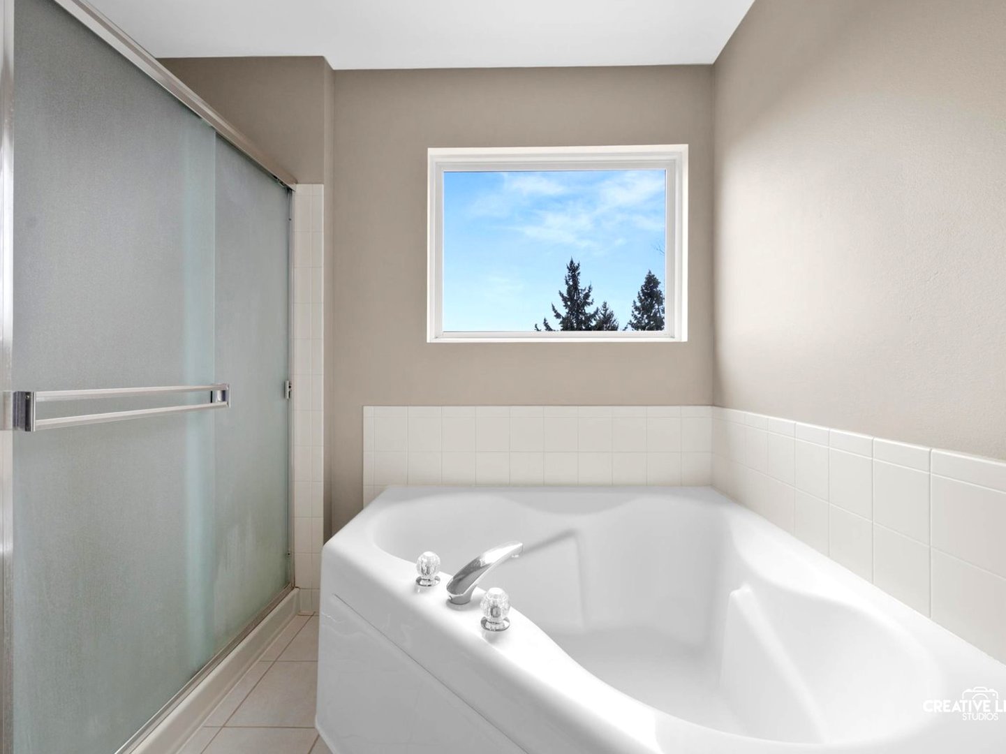 1524 W Mooseheart Road, North Aurora, IL 60542