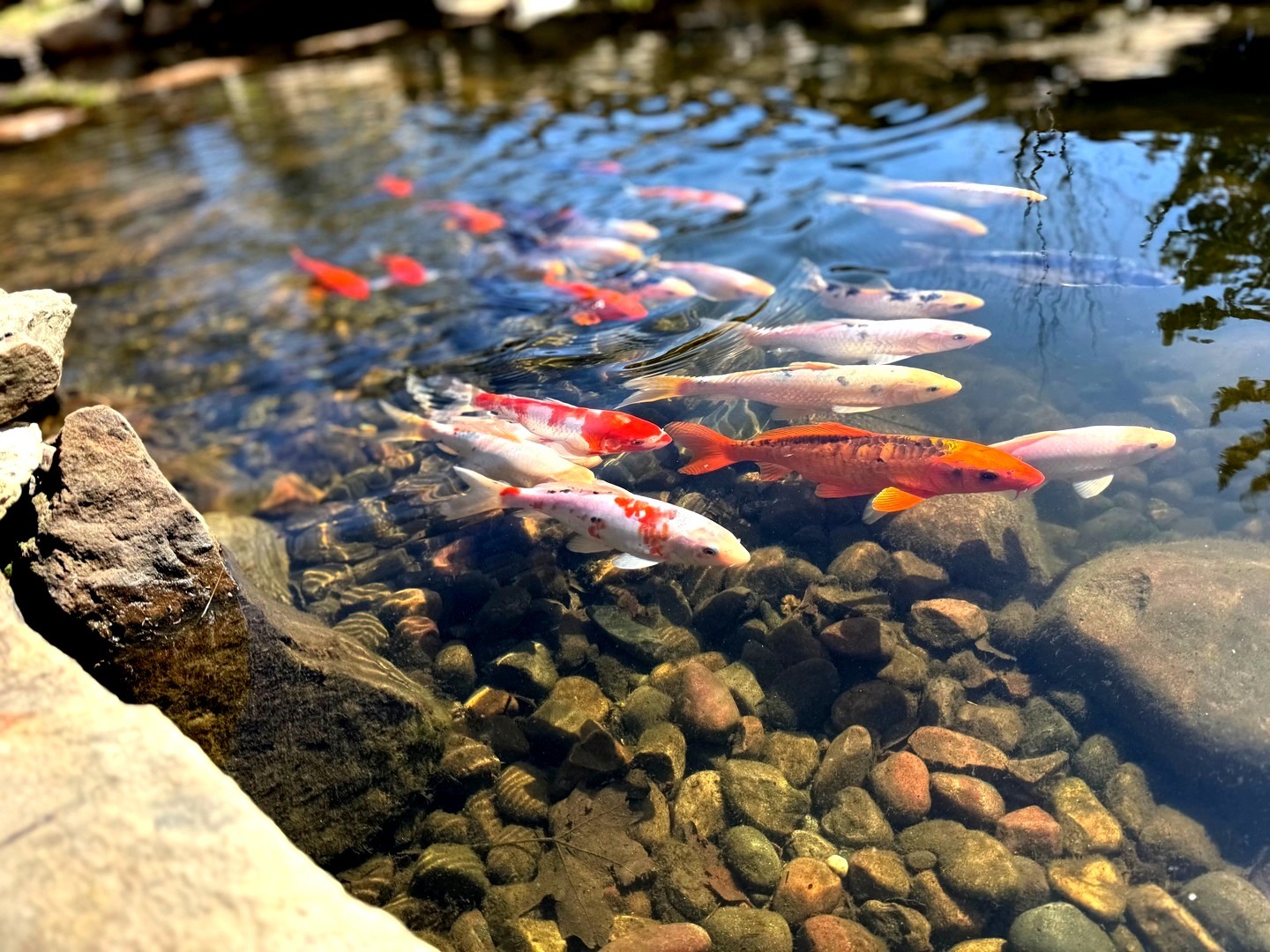 1524 W Mooseheart Road, North Aurora, IL 60542