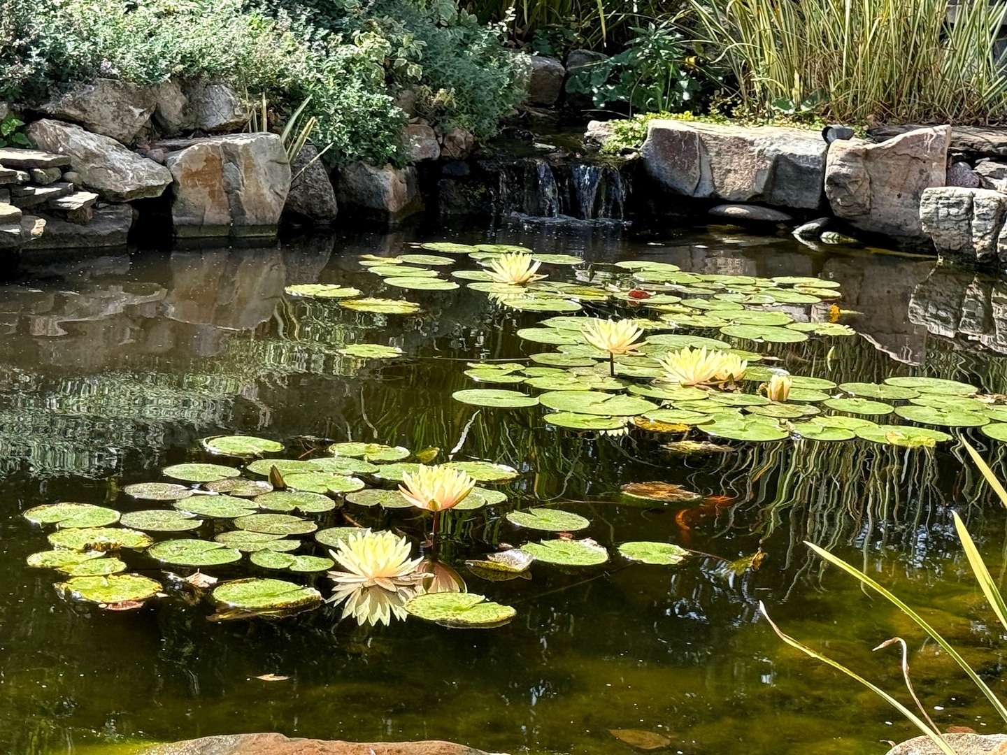 1524 W Mooseheart Road, North Aurora, IL 60542