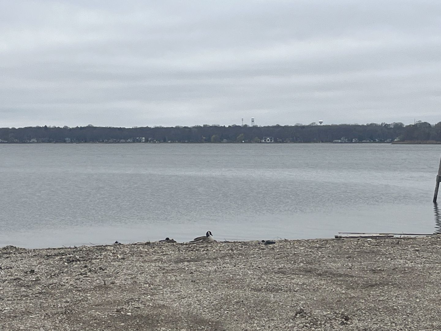 34 W Grand Avenue #203, Fox Lake, IL 60020