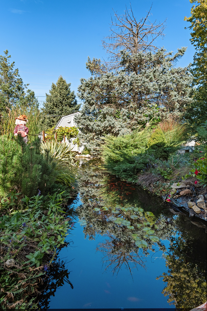 16462 S Ivy Lane, Plainfield, IL 60586