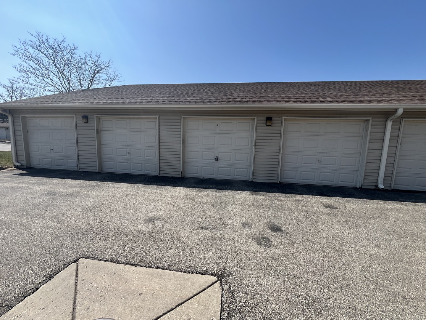 1524 W Sand Bar Court #2C, Round Lake, IL 60073