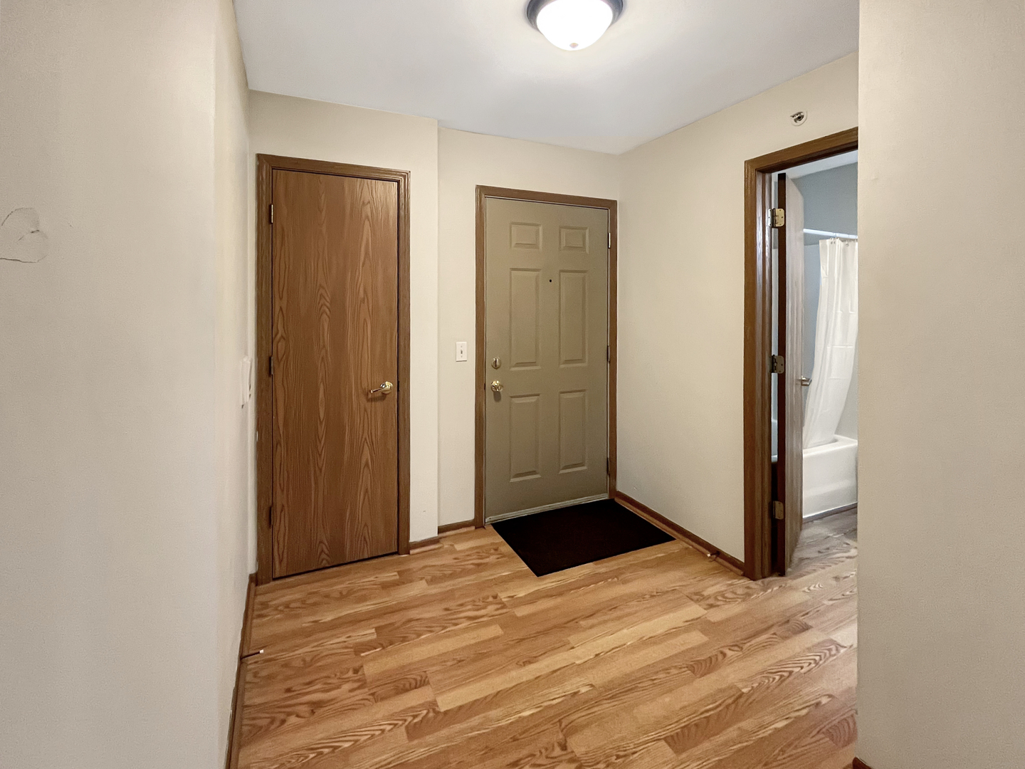 1524 W Sand Bar Court #2C, Round Lake, IL 60073