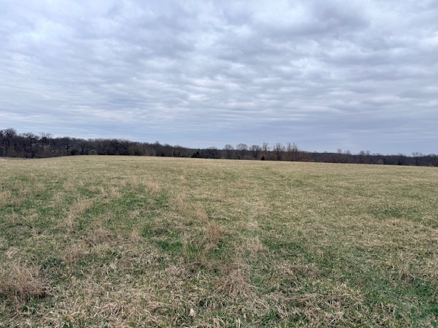 0 Schaefer Road, Plano, IL 60545