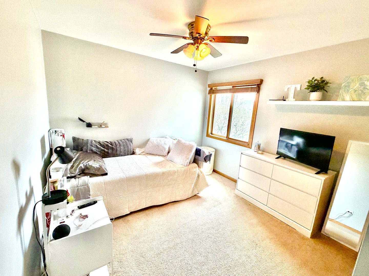 8300 Auburn Lane, Frankfort, IL 60423