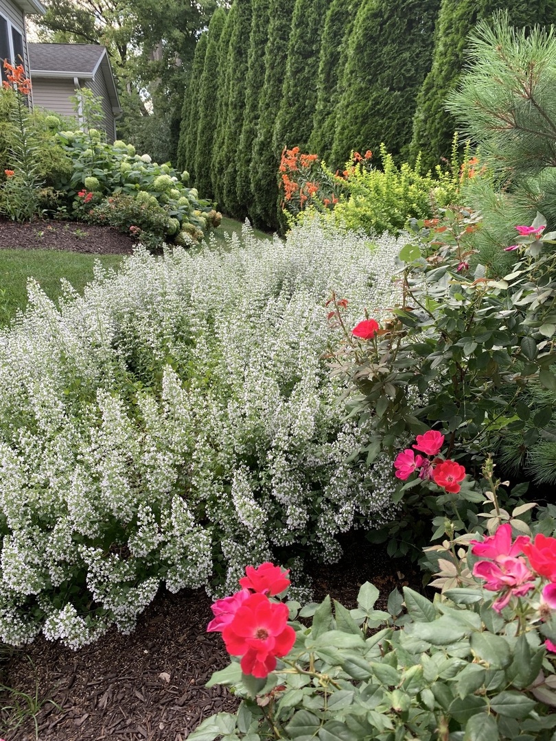 42065 N Old Lake Avenue, Antioch, IL 60002