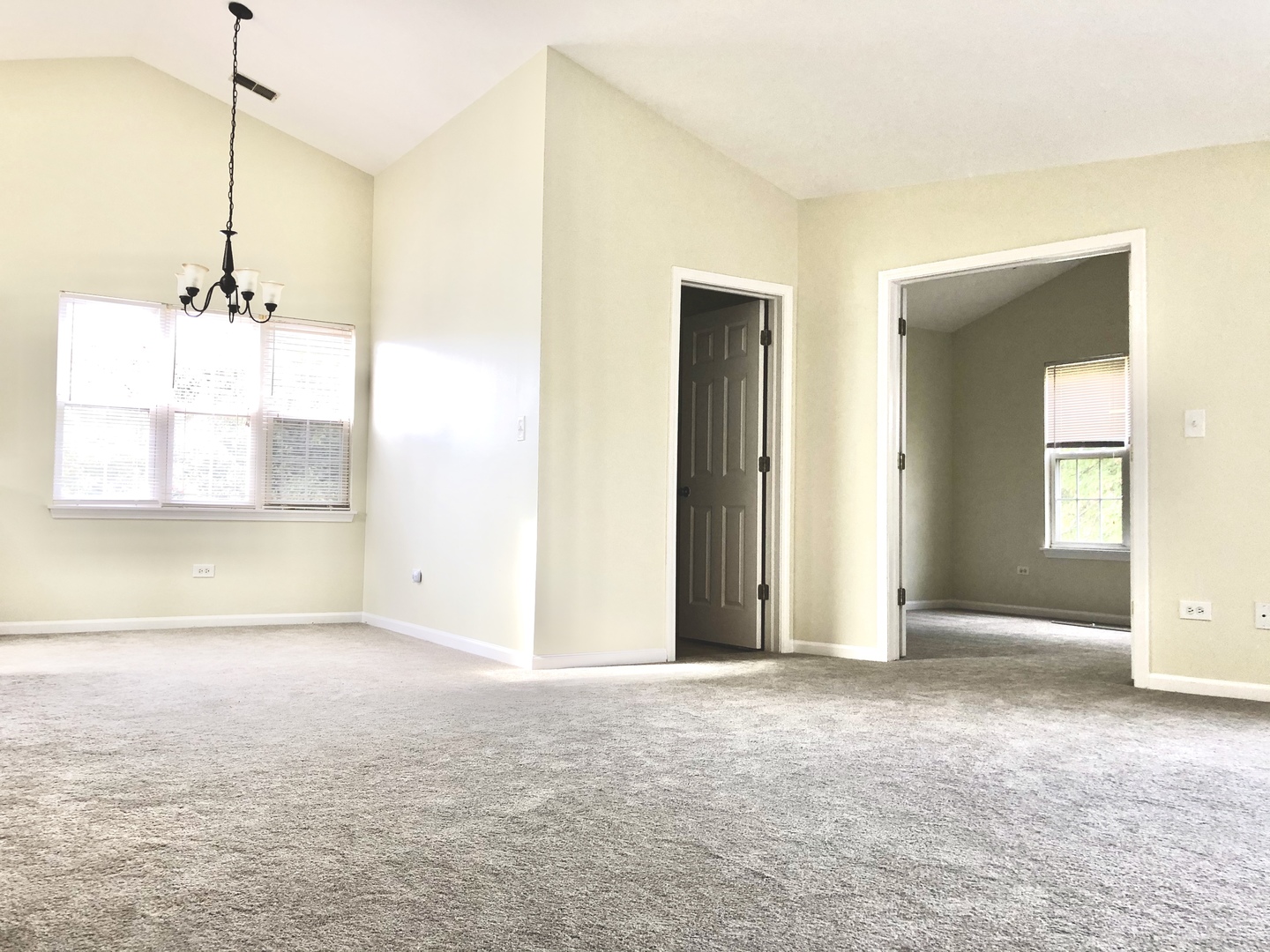 2903 Bartlett Court #204, Naperville, IL 60564