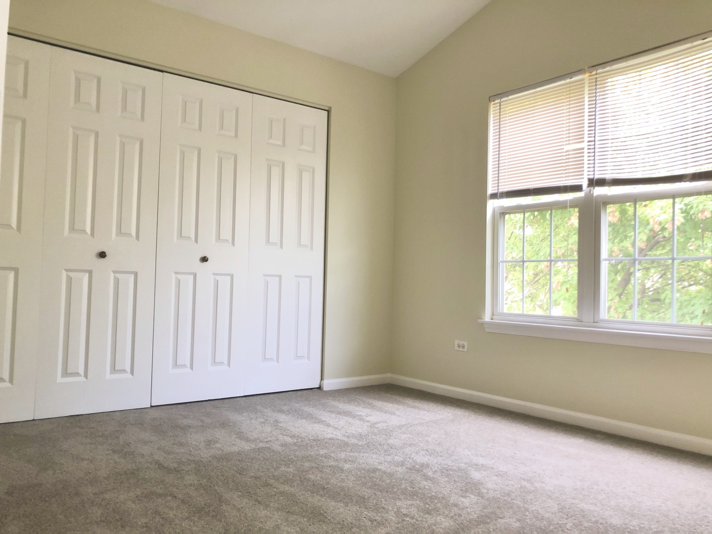 2903 Bartlett Court #204, Naperville, IL 60564