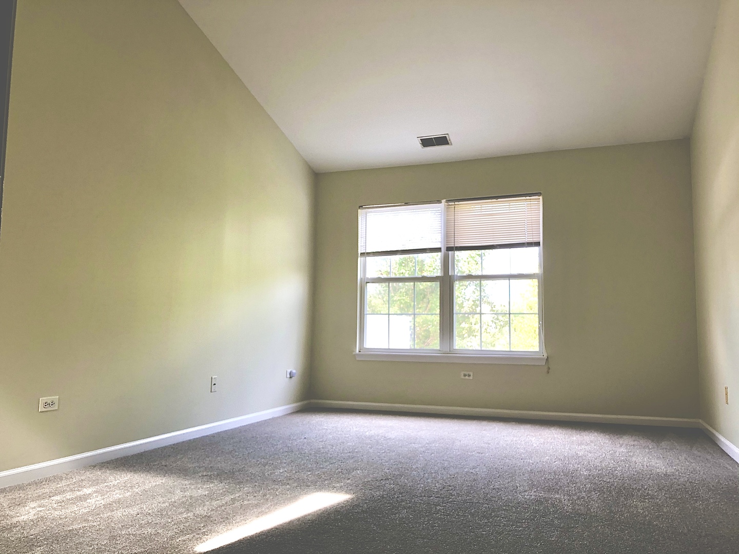 2903 Bartlett Court #204, Naperville, IL 60564