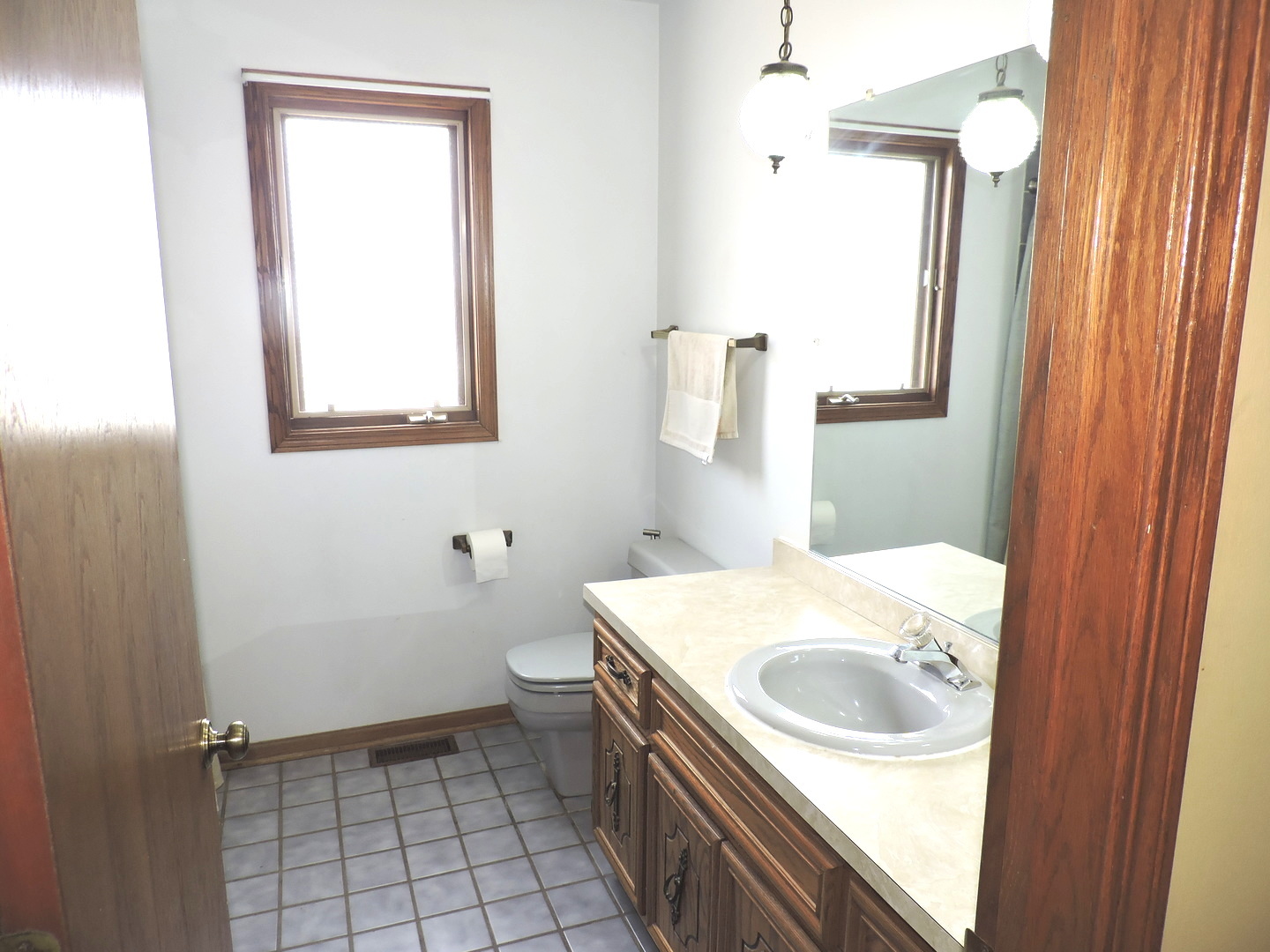 6931 Coachwood Trail, Tinley Park, IL 60477