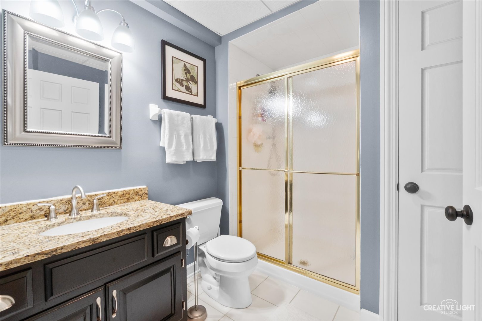 4459 Esquire Circle, Naperville, IL 60564