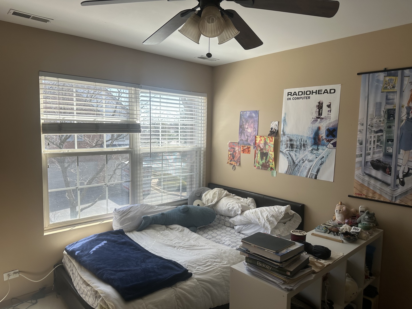 2734 Rockport Lane, Naperville, IL 60564