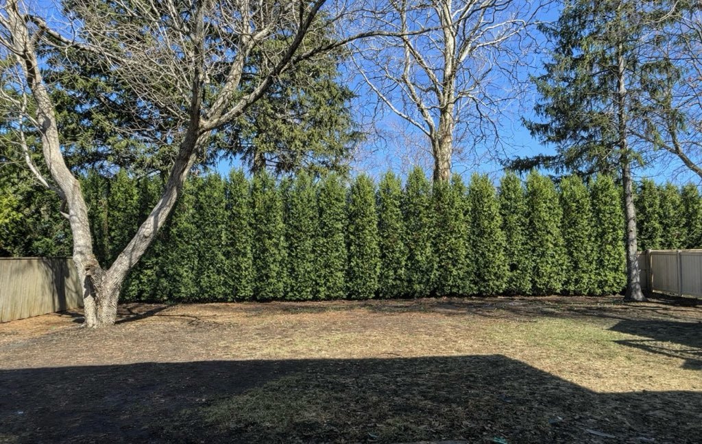 778 Wilson Avenue, Glen Ellyn, IL 60137