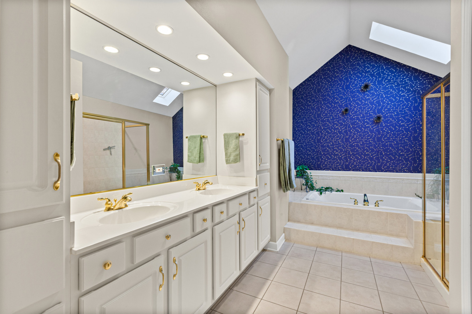 15235 Hamlin Street, Plainfield, IL 60544