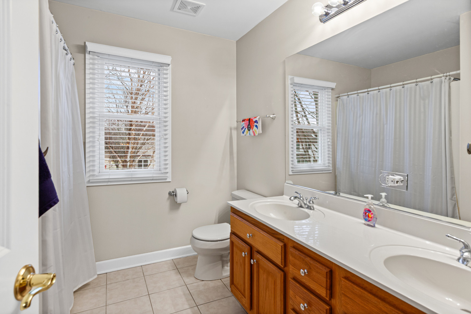 15235 Hamlin Street, Plainfield, IL 60544