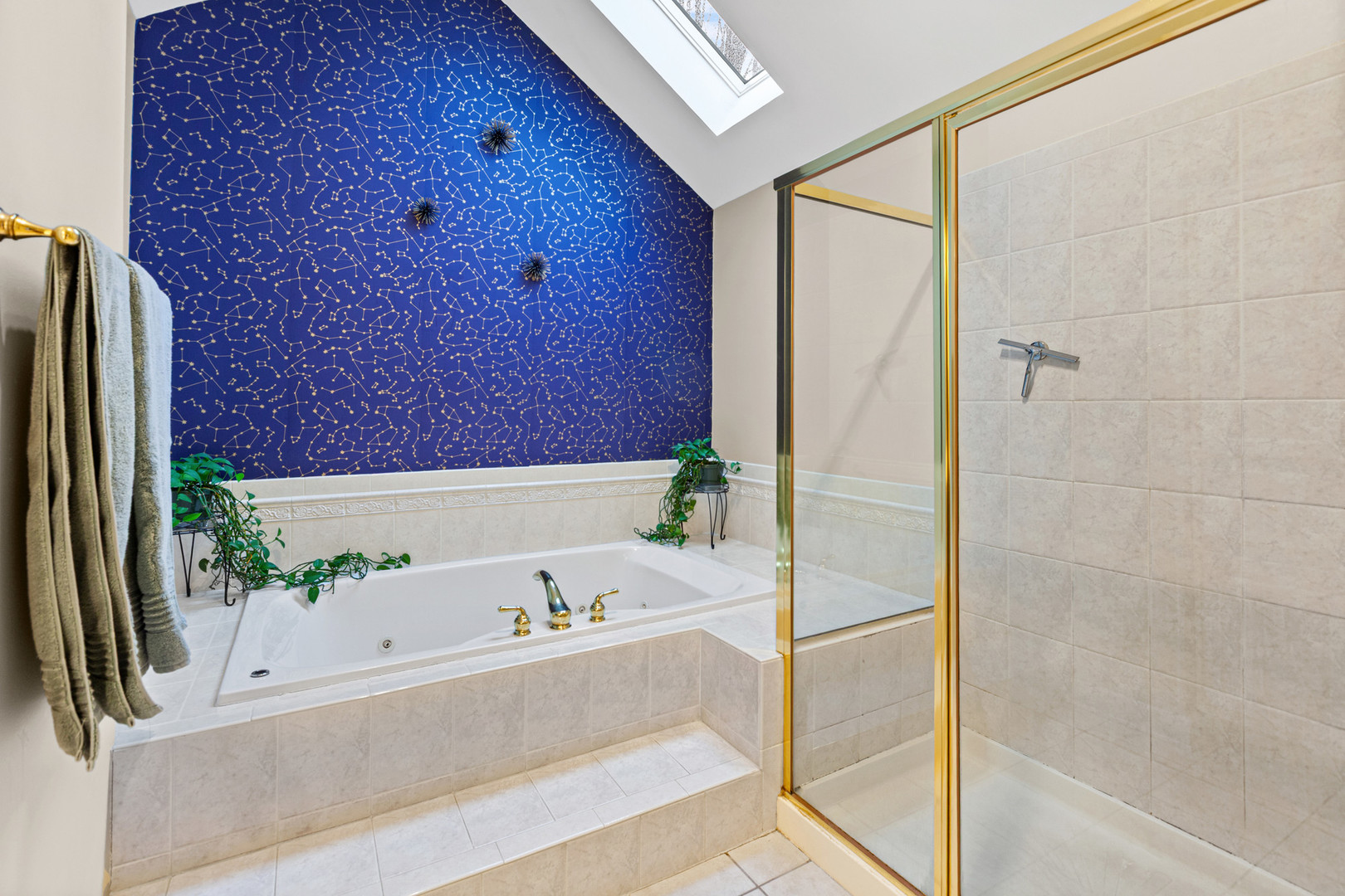 15235 Hamlin Street, Plainfield, IL 60544