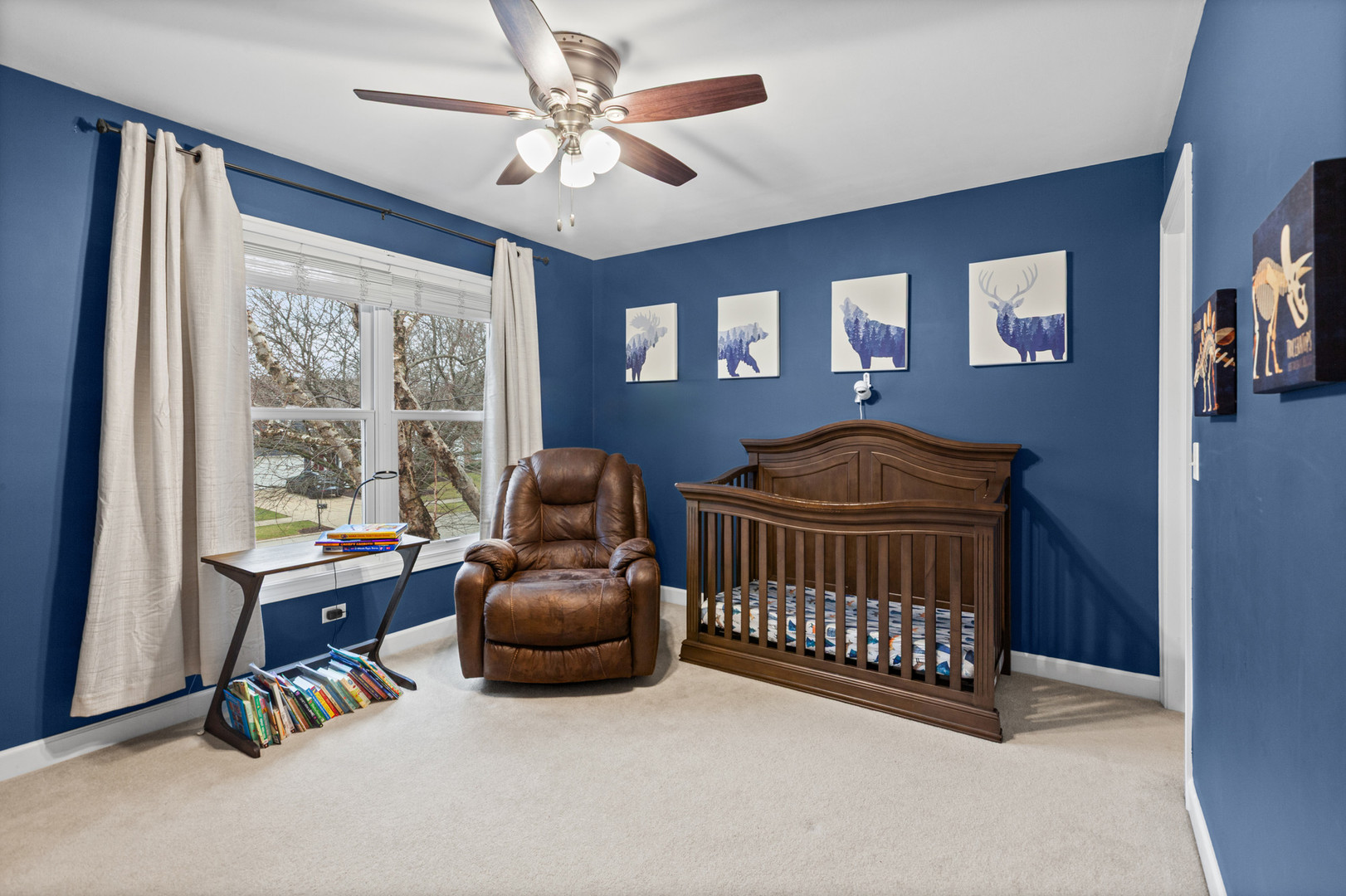 15235 Hamlin Street, Plainfield, IL 60544