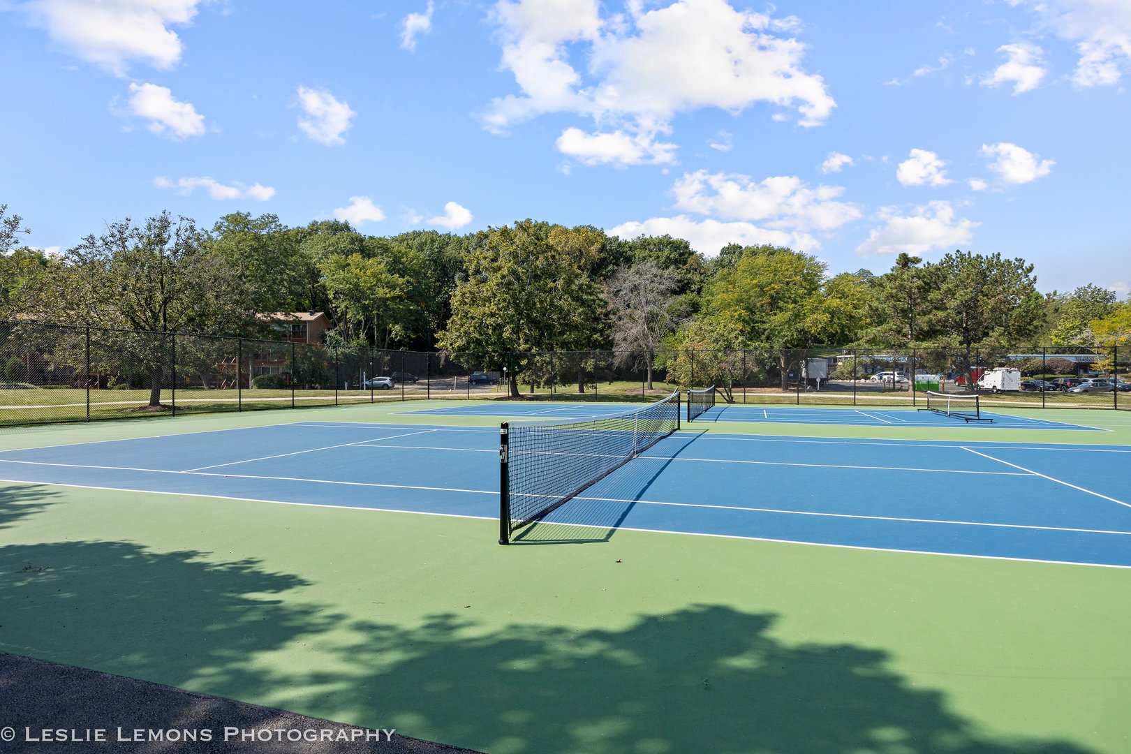 5900 OAKWOOD Drive #4D, Lisle, IL 60532