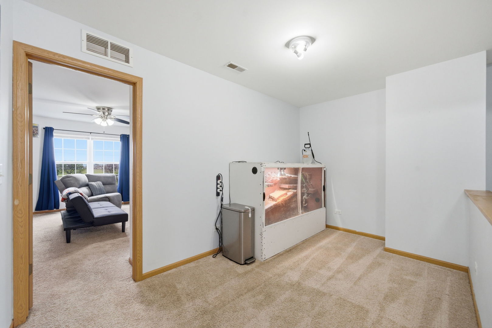 1136 Coneflower Court, Minooka, IL 60447