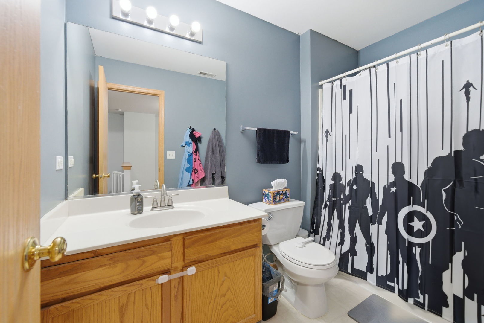 1136 Coneflower Court, Minooka, IL 60447