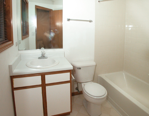 1062 Sheridan Circle, Naperville, IL 60563