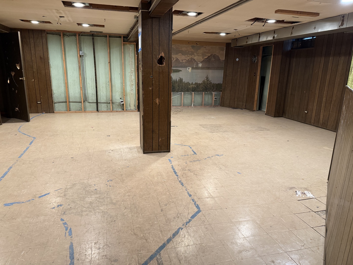 705 S. Chestnut Avenue, Arlington Heights, IL 60005