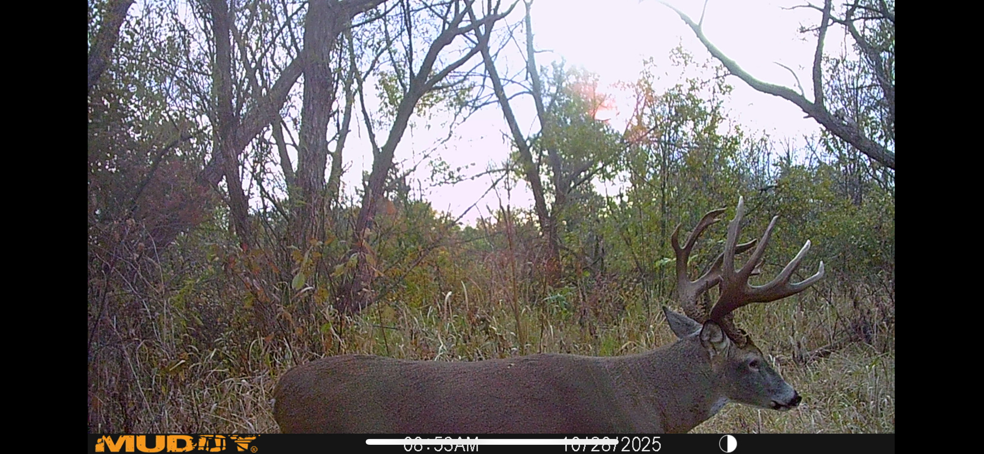 8877 Kennedy Road, Yorkville, IL 60560