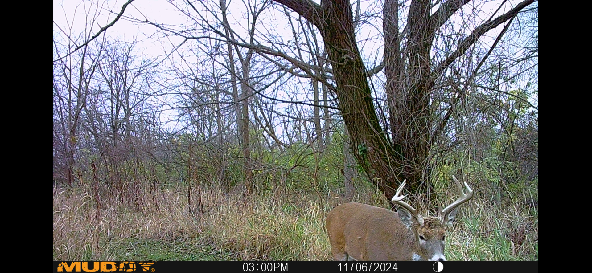 8877 Kennedy Road, Yorkville, IL 60560