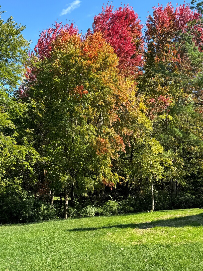 8877 Kennedy Road, Yorkville, IL 60560