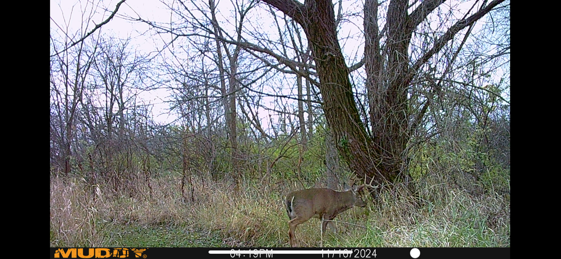 8877 Kennedy Road, Yorkville, IL 60560