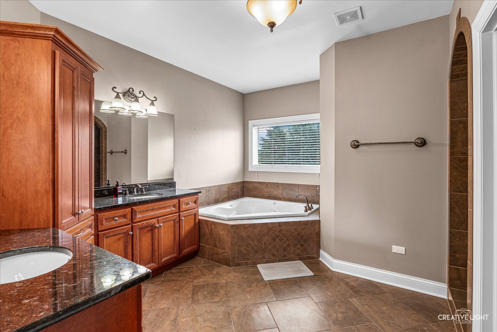 13002 Silverleaf Court, Plainfield, IL 60585