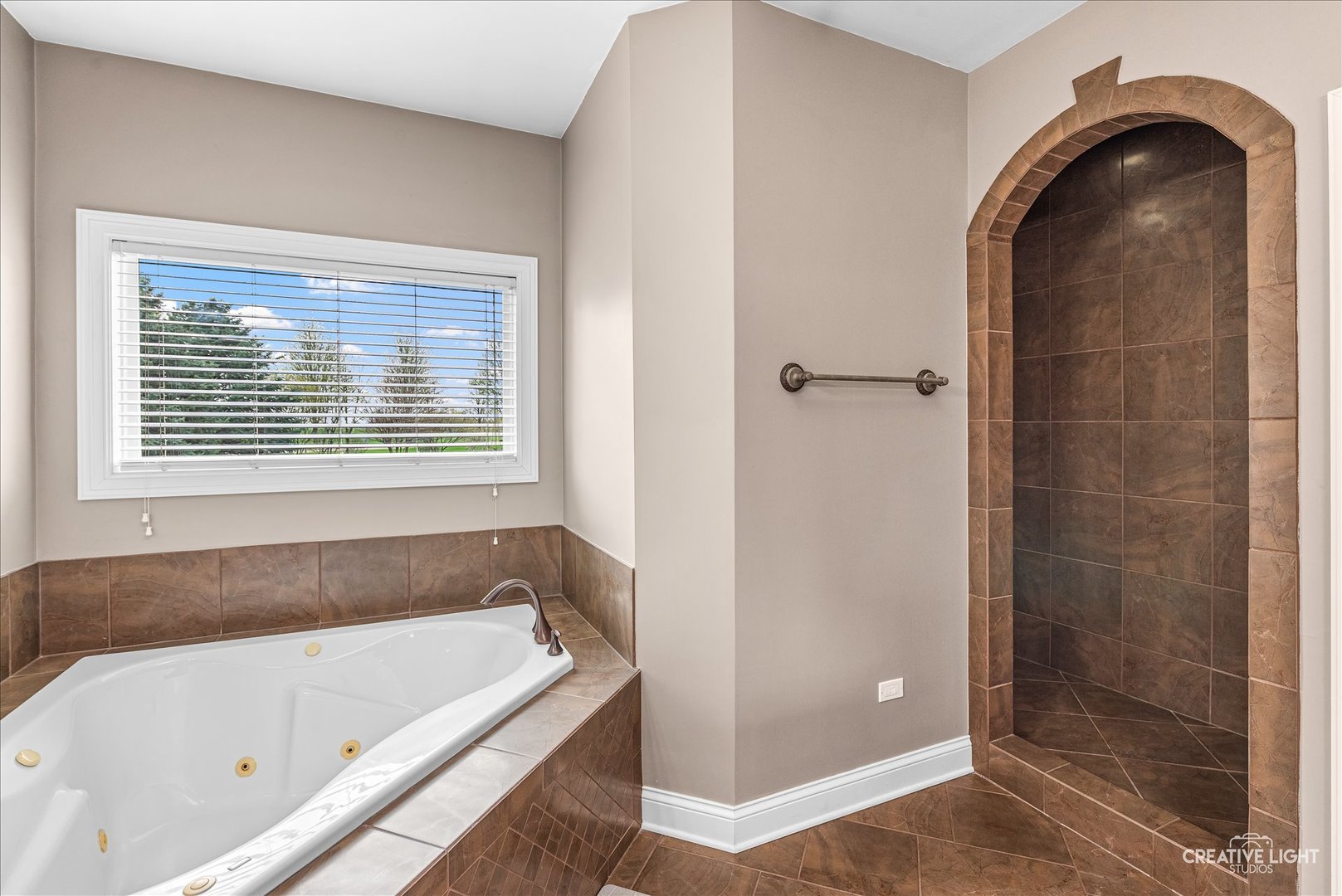 13002 Silverleaf Court, Plainfield, IL 60585