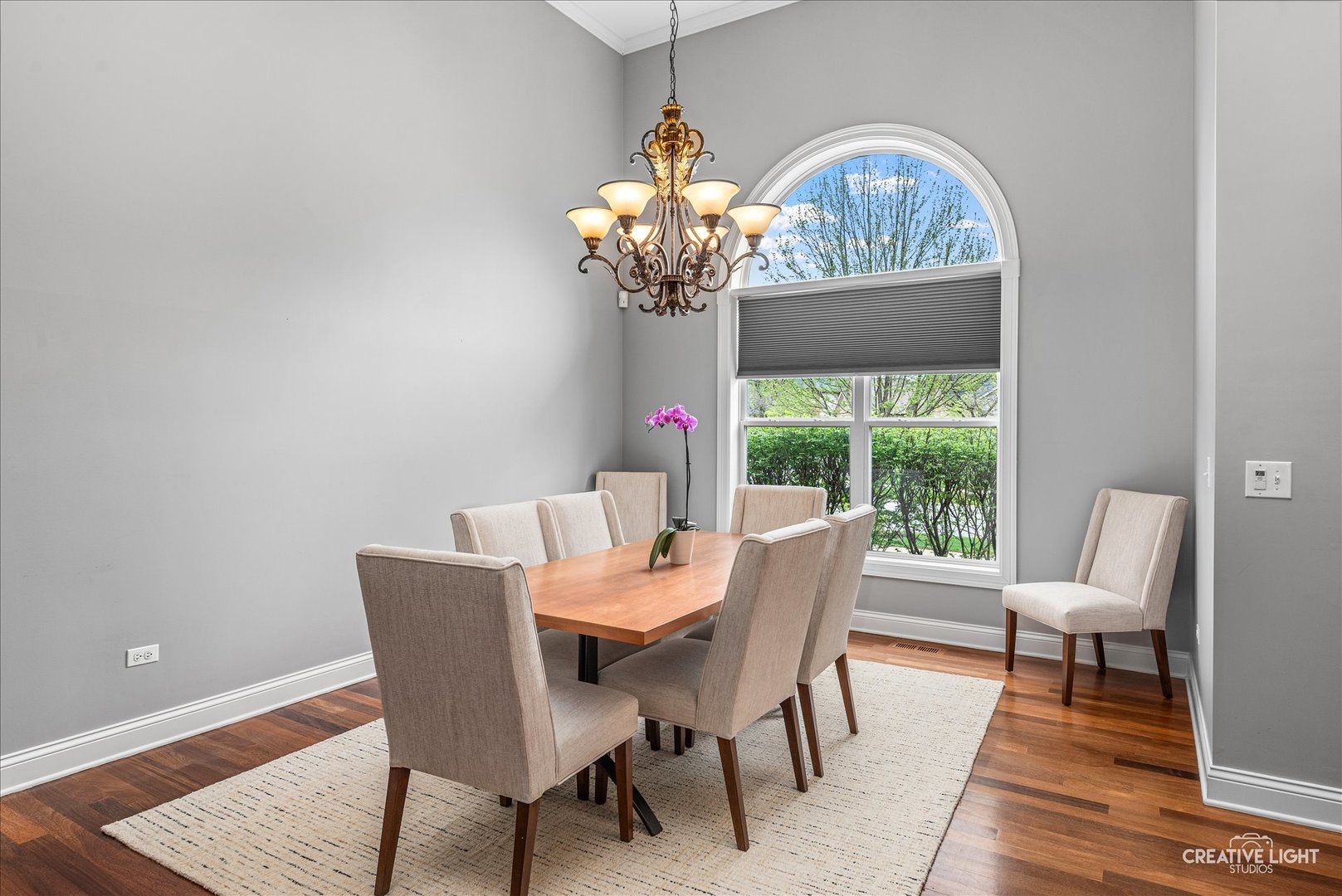 13002 Silverleaf Court, Plainfield, IL 60585