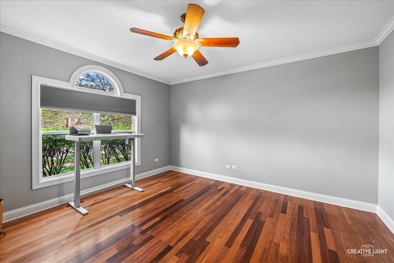 13002 Silverleaf Court, Plainfield, IL 60585