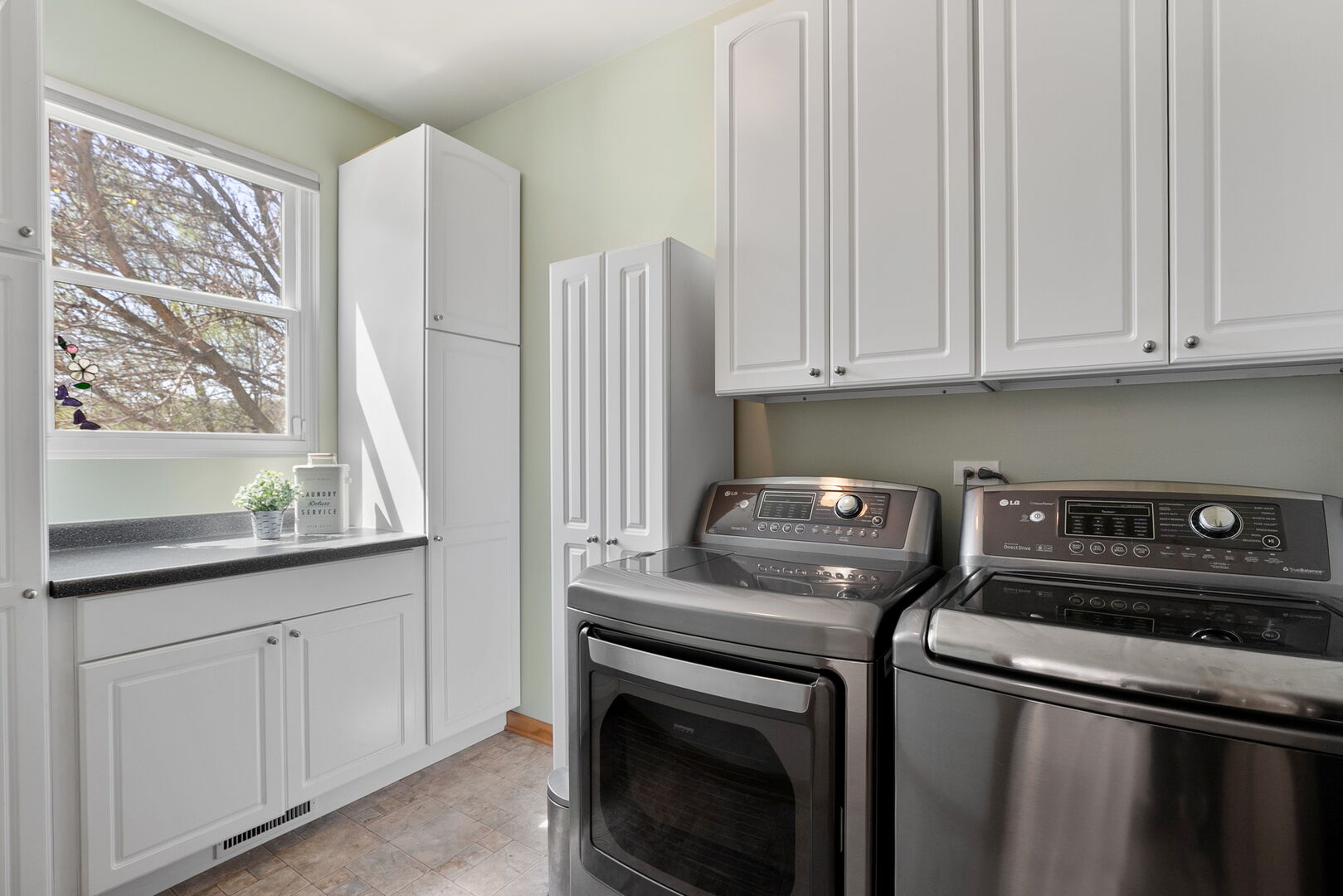 2311 W CASCADE Circle, Round Lake, IL 60073