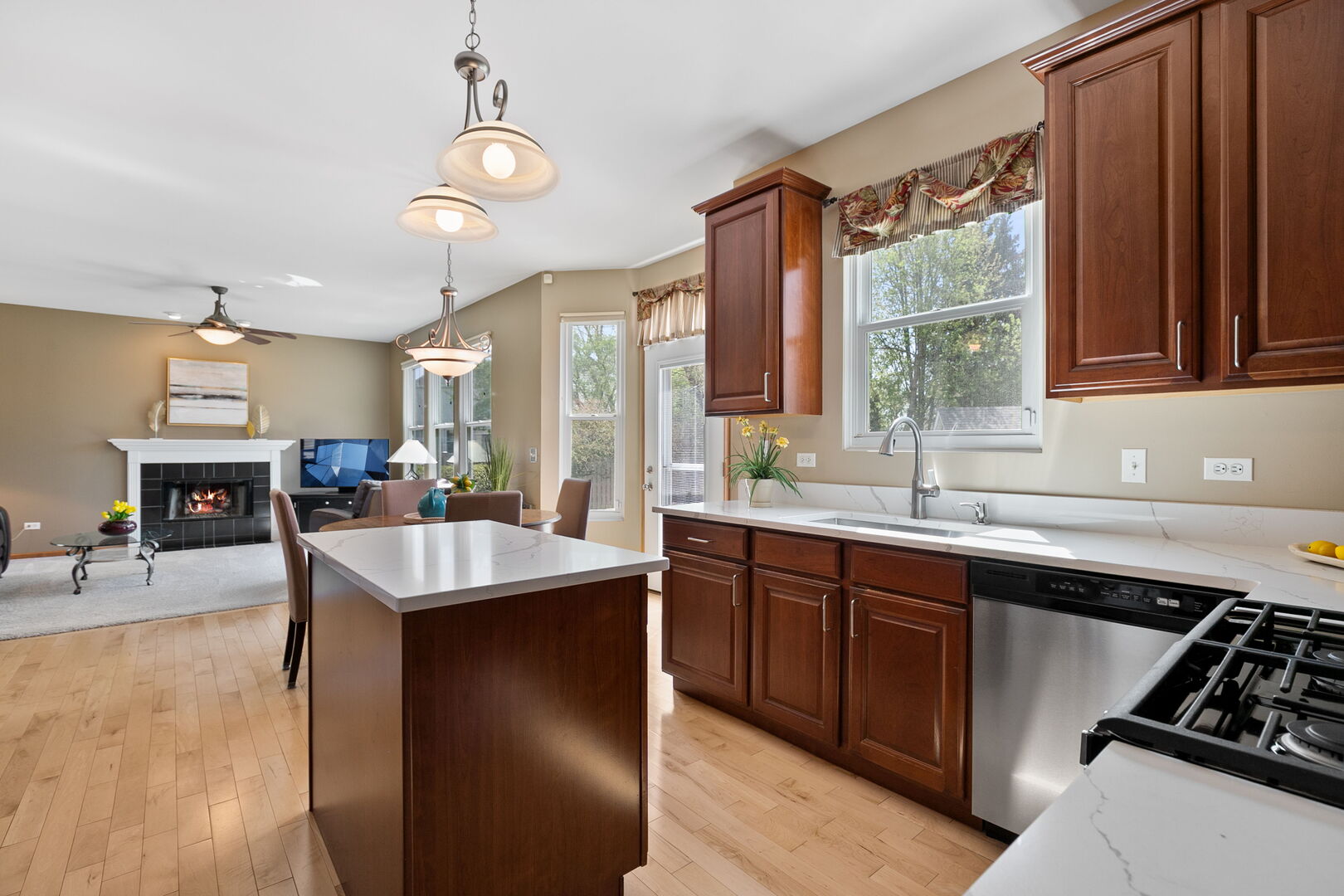 2311 W CASCADE Circle, Round Lake, IL 60073