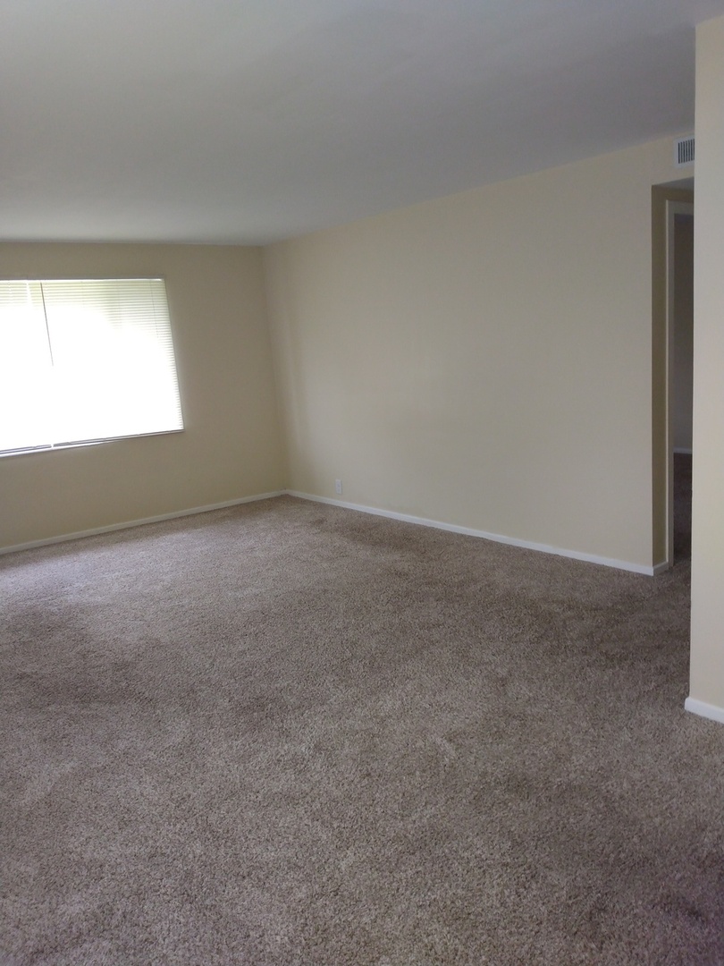 3484 Western Avenue #3484-B, Park Forest, IL 60466