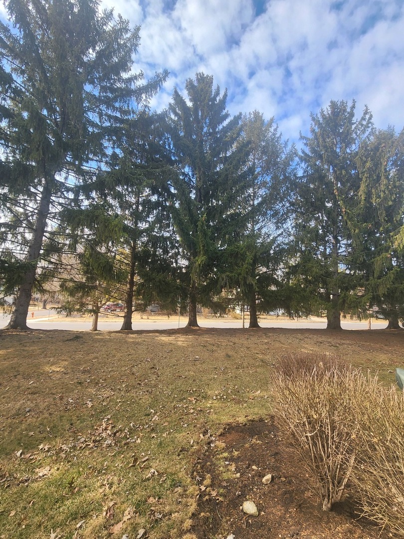 43 Foxcroft Boulevard #135, Naperville, IL 60565